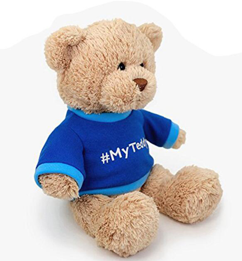 Custom logo Multi-style teddy bear plush toy