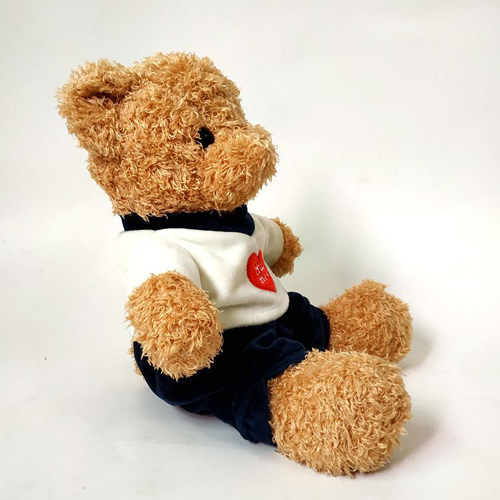 Plush Stuffed Toy Wearing Clothes Big Teddy Bear 