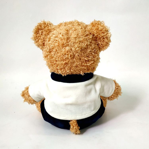 Plush Stuffed Toy Wearing Clothes Big Teddy Bear 