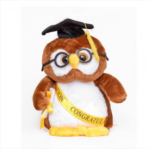 Graduation Gifts Plush Owl with Cap and Diploma in Hand 