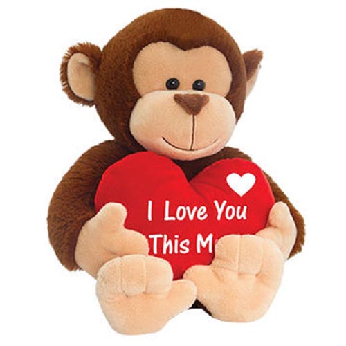The Newest Valentine Plush Toy 