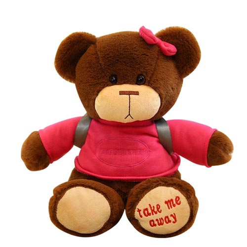 Origin Plush toy Manufacture Custom Teddy Bear with Different Colors T-shirt